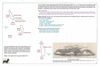 sea84 bal5 balleny islands_thumb.gif